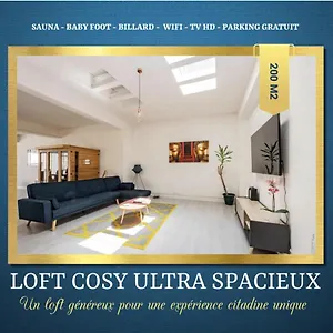 Loft Cosy - Hypercentre - Sauna - 200m2 - Wifi , Graulhet France